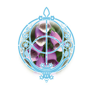 Chalice Well Essence 'Foxglove' for Alignment