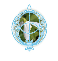 Chalice Well Essence 'Snowdrop' for Self-revelation
