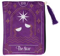 Star Velvet Bag