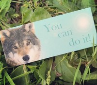 Wildheart Animal Inspiration Cards